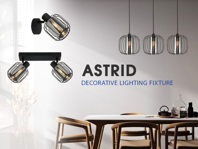 Designer series of lighting fixtures ASTRID - a mystical play of smoked glass and wire relief